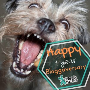 2019 Pet Blogger Challenge